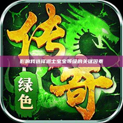 影响我选择道士宝宝等级的关键因素