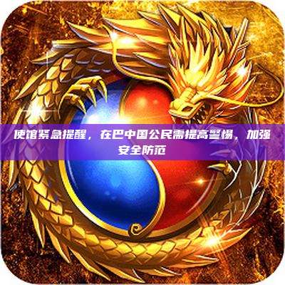使馆紧急提醒,在巴中国公民需提高警惕,加强安全防范