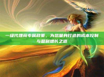 一级代理商专属政策,为您量身打造的成本控制与盈利增长之道