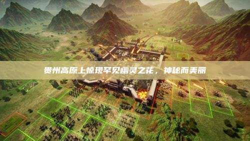 贵州高原上惊现罕见幽灵之花,神秘而美丽