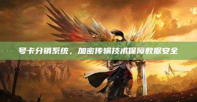 号卡分销系统,加密传输技术保障数据安全