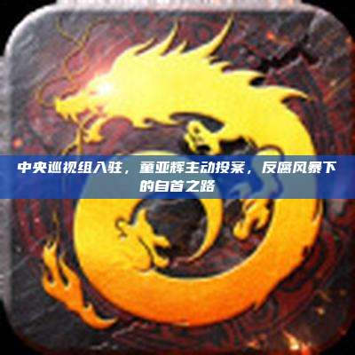 中央巡视组入驻，童亚辉主动投案，反腐风暴下的自首之路