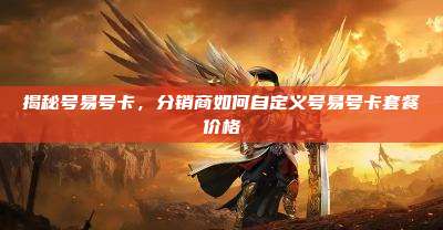 揭秘号易号卡，分销商如何自定义号易号卡套餐价格