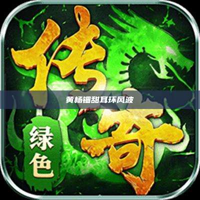 黄杨钿甜耳环风波