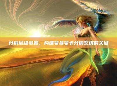 分销层级设置,构建号易号卡分销系统的关键