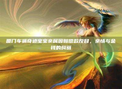 厦门车祸奇迹宝宝亲属因赔偿款反目,亲情与金钱的纠葛