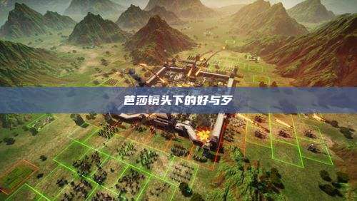 芭莎镜头下的好与歹