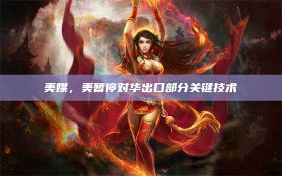 美媒,美暂停对华出口部分关键技术