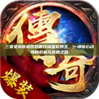 三亚女游客被咬后曾咨询鉴蛇博主,一场惊心动魄的危机与求助之路