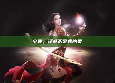 宁静，汪峰不是我的菜