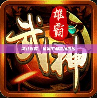 湖北省委,这类干部直接提拔