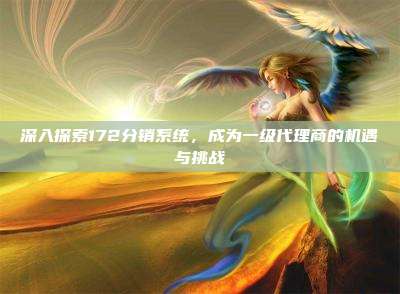 深入探索172分销系统，成为一级代理商的机遇与挑战