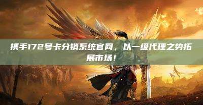携手172号卡分销系统官网，以一级代理之势拓展市场！