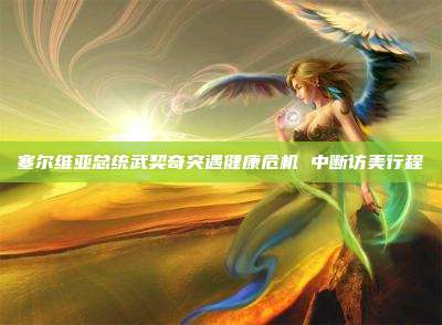 塞尔维亚总统武契奇突遇健康危机 中断访美行程