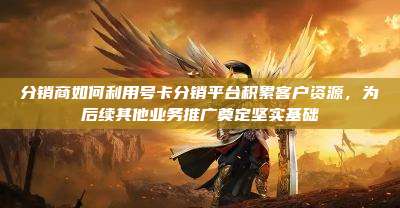 分销商如何利用号卡分销平台积累客户资源，为后续其他业务推广奠定坚实基础