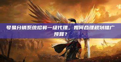 号易分销系统招募一级代理，如何合理规划推广预算？