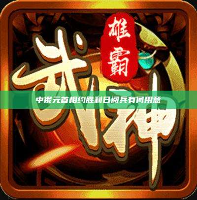 中俄元首相约胜利日阅兵有何用意