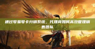 通过号易号卡分销系统,代理商如何高效管理销售团队