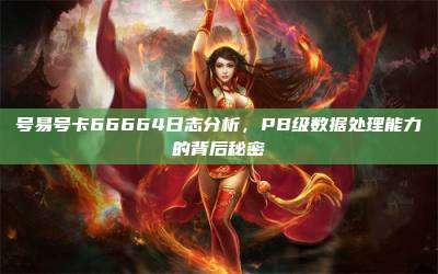 号易号卡66664日志分析,PB级数据处理能力的背后秘密