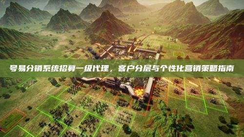 号易分销系统招募一级代理，客户分层与个性化营销策略指南