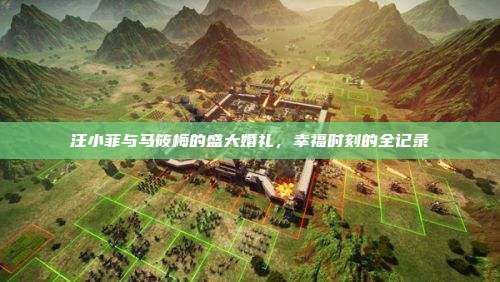 汪小菲与马筱梅的盛大婚礼,幸福时刻的全记录