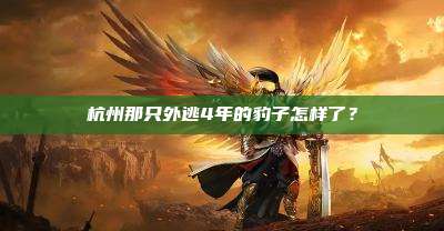 杭州那只外逃4年的豹子怎样了?
