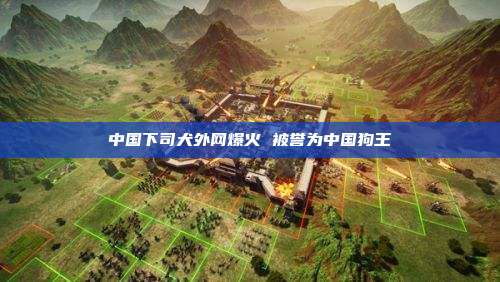 中国下司犬外网爆火 被誉为中国狗王