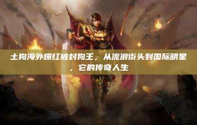 土狗海外爆红被封狗王,从流浪街头到国际明星,它的传奇人生