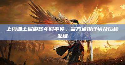 上海迪士尼游客斗殴事件,警方通报详情及后续处理