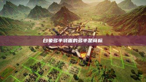 白象多半袋面的多半是商标