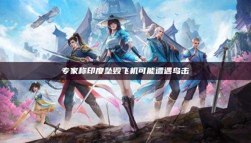 专家称印度坠毁飞机可能遭遇鸟击
