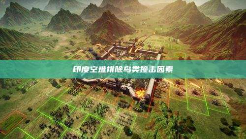 印度空难排除鸟类撞击因素