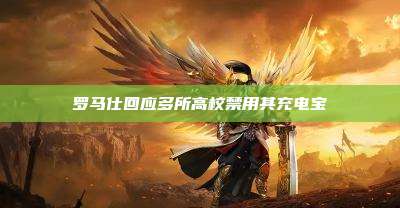 罗马仕回应多所高校禁用其充电宝