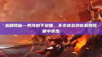悲剧降临—男孩树下安睡,不幸被坠毁客机残骸砸中丧生