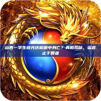 山西一学生被光伏板砸中身亡?真相揭秘,谣言止于智者
