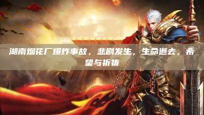 湖南烟花厂爆炸事故,悲剧发生,生命逝去,希望与祈祷