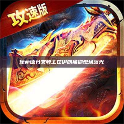 摩萨德分支特工在伊朗被捕现场曝光