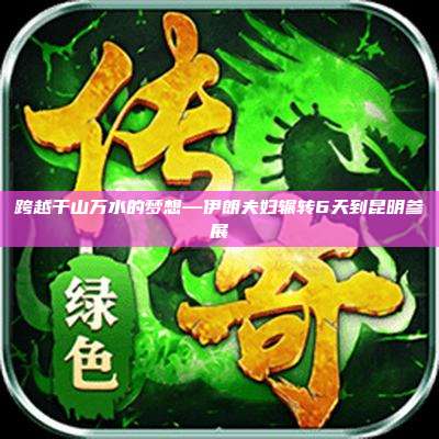 跨越千山万水的梦想—伊朗夫妇辗转6天到昆明参展
