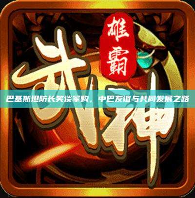 巴基斯坦防长笑谈军购,中巴友谊与共同发展之路