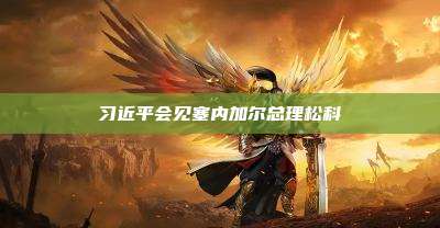 习近平会见塞内加尔总理松科