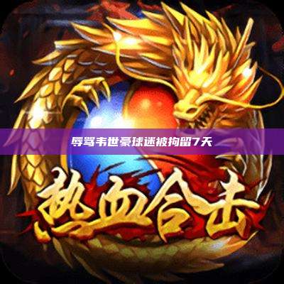 辱骂韦世豪球迷被拘留7天