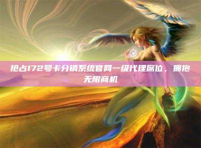 抢占172号卡分销系统官网一级代理席位，拥抱无限商机