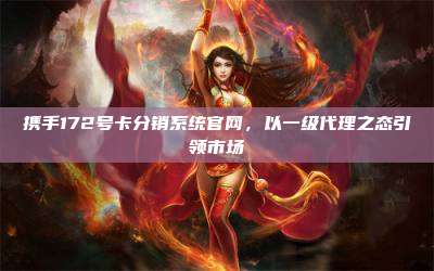 携手172号卡分销系统官网，以一级代理之态引领市场