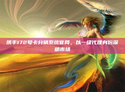 携手172号卡分销系统官网，以一级代理身份深耕市场