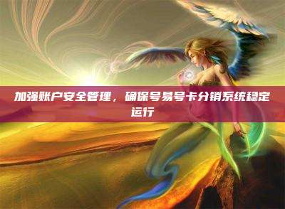 加强账户安全管理，确保号易号卡分销系统稳定运行